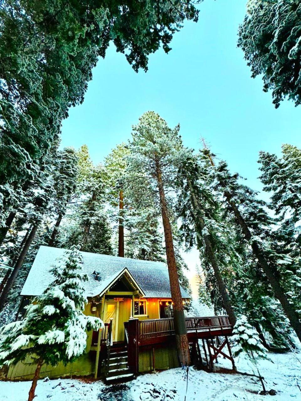 The Honey Bear Cabin Carnelian Bay エクステリア 写真