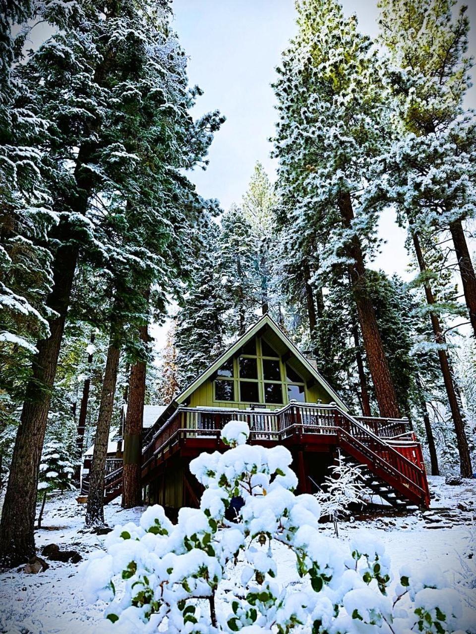 The Honey Bear Cabin Carnelian Bay エクステリア 写真