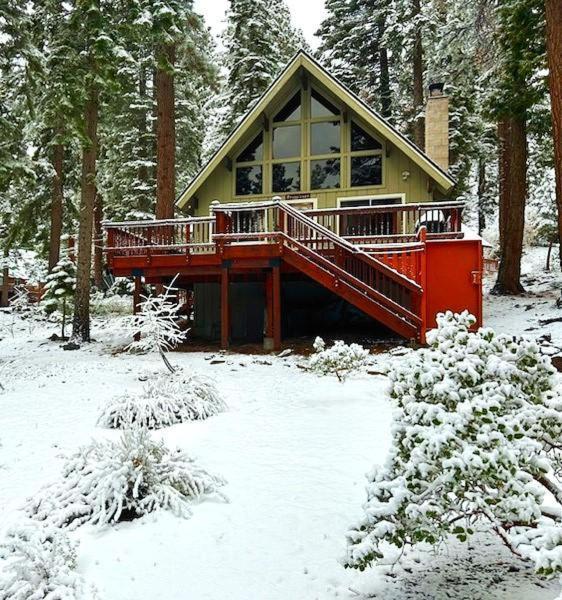 The Honey Bear Cabin Carnelian Bay エクステリア 写真